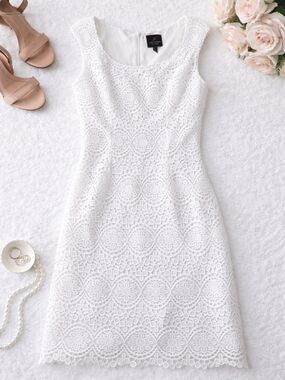 Size 6 Adrianna Papell White Lace Sheath Mini Dress
